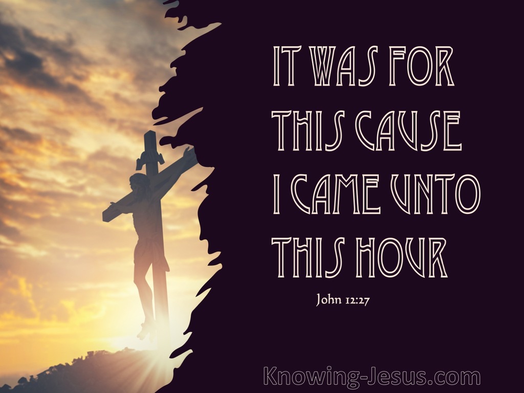 John 12:27 It Was For This Cause I Came Unto This Hour (brown)
